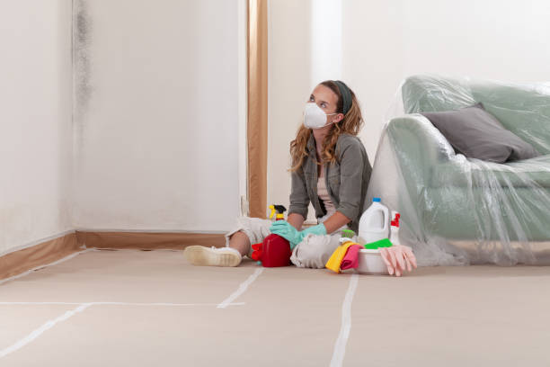 Reliable Mold Inspection contractor in Clifton, AZ by WQB Mold Removal